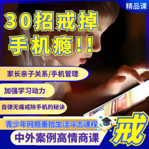 戒瘾网瘾视频教程全套管理技巧亲子关系学习动力在线课程