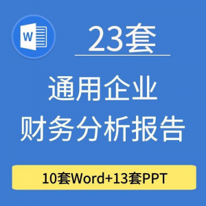 23套通用企业公司年度财务分析报告word电子文档模板PPT演示