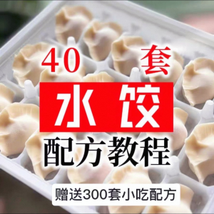 【0.01秒发】40套水饺技术配方 特制技术视频教程