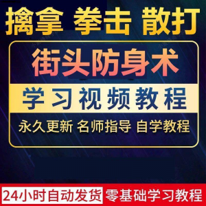 街头防身术擒拿拳击散打视频教程全套入门自学零基础学习教程视频