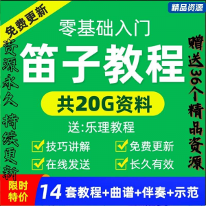 零基础笛子教程自学入门进阶视频初学者教学成人儿童学竹笛教材全