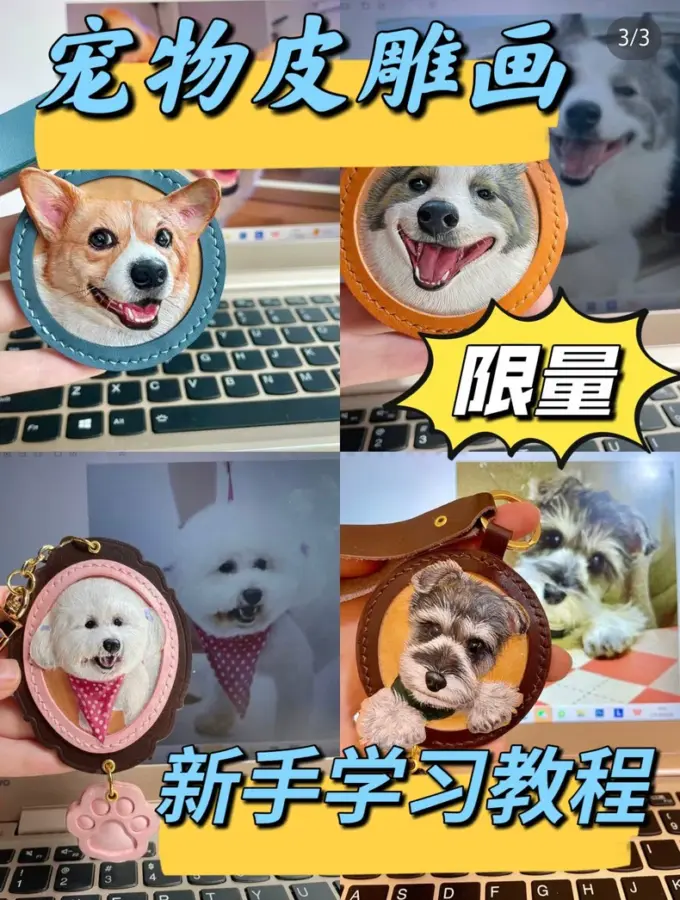 宠物皮雕教程零基础入门 新手必备10节全套课程